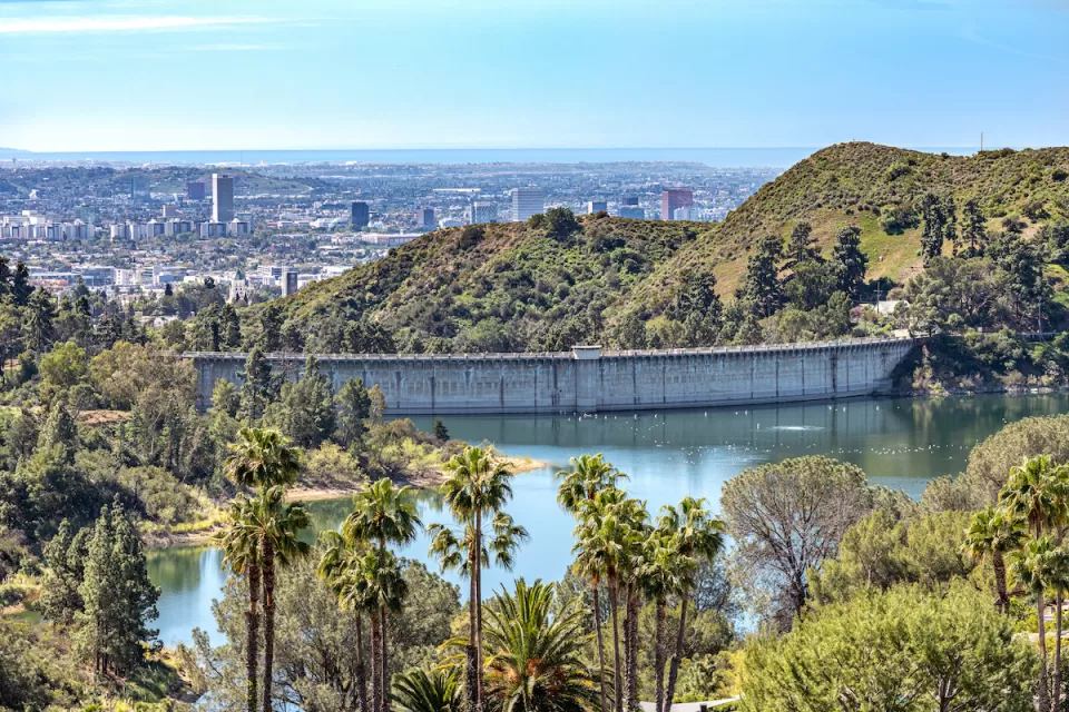 View of Hollywood Reservoir with palm trees in foreground and Los Angeles neighobrhoods in background.